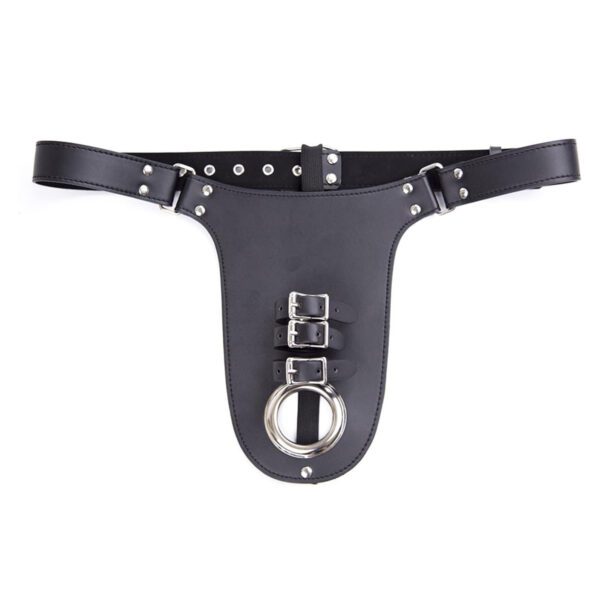 kuisheidsgordel, penis, bondage, sm, bdsm, harnas, ondergoed, luxe, controle, slip