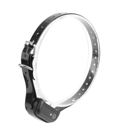 elektritsche, schok, halsband, pro, sm, luxe, seks, afstandsbediening, verstelbaar, stroom