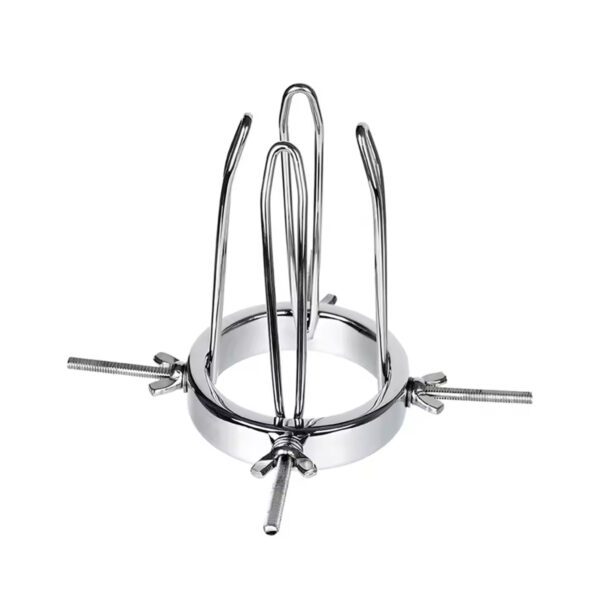 vaginale speculum, anale spreider, roestvrij staal, groot formaat, verstelbaar ontwerp, BDSM-accessoire, medisch rollenspel, lichaamsveilig materiaal, luxueuze afwerking, duurzame constructie.