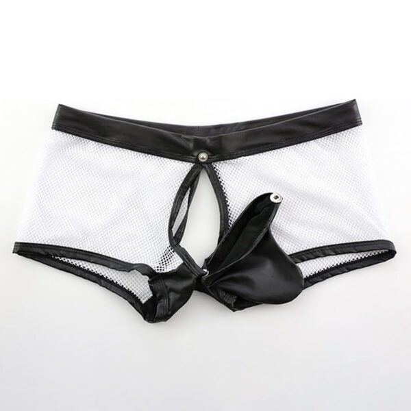 transparante, penisfunctie, visnet look, erotische short, kuisheidskooi, voor hem, sexy ondergoed, S tot en met XXL, polyester, RedParrotNL