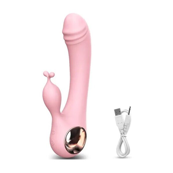 Dual Vibrator