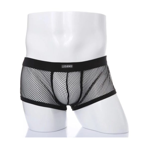 Transparante Heren Boxer Visnet